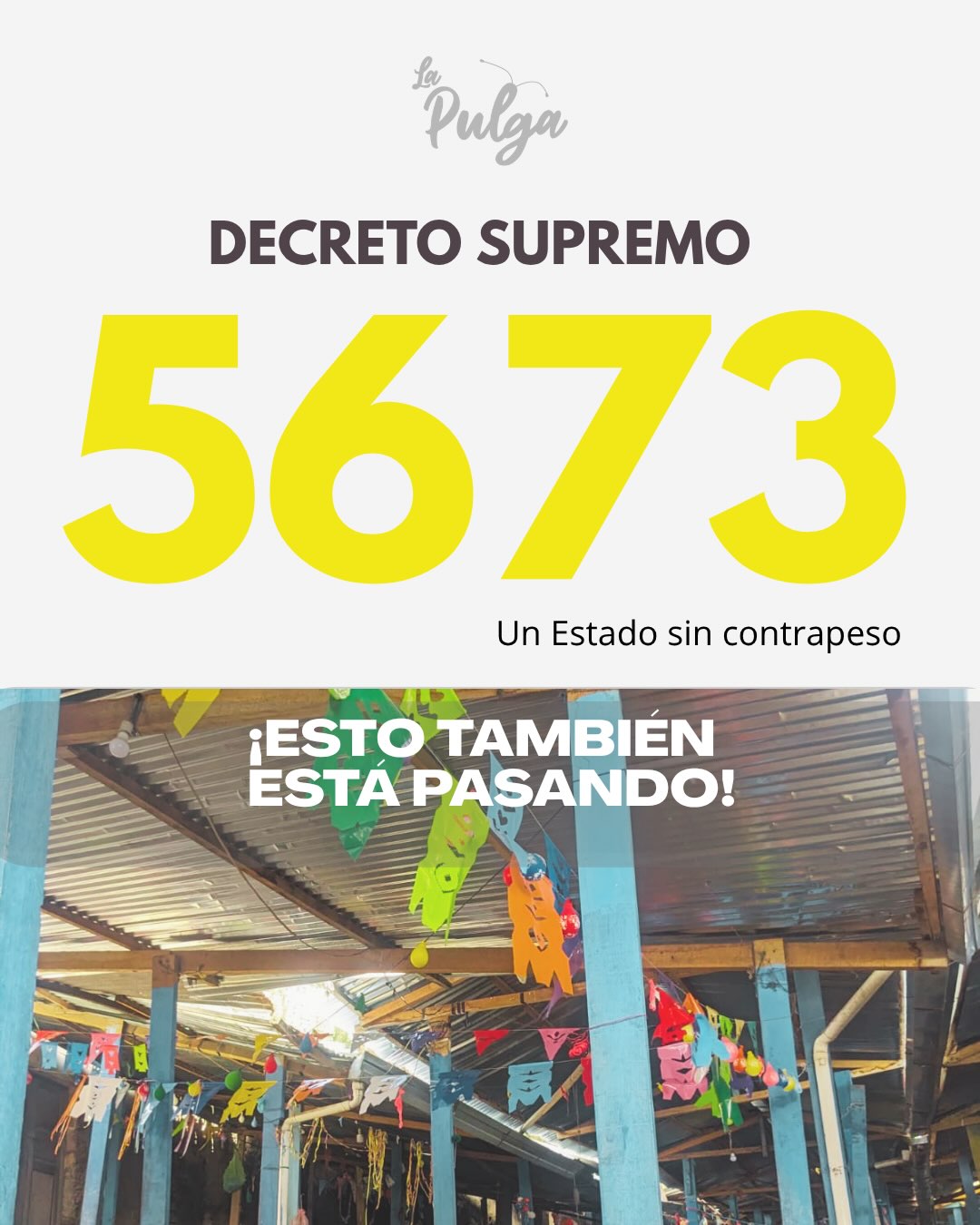 Decreto Supremo 5673: Un Estado sin contrapeso