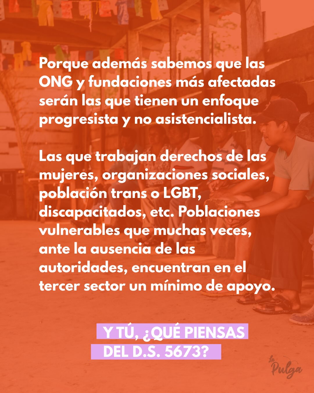 Decreto Supremo 5673: Un Estado sin contrapeso · lámina 10 de 12