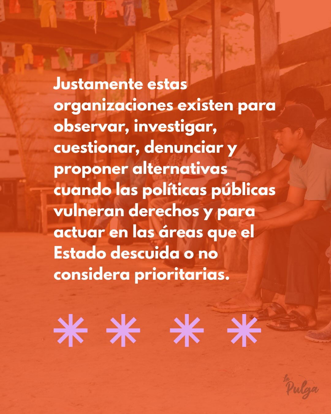 Decreto Supremo 5673: Un Estado sin contrapeso · lámina 5 de 12